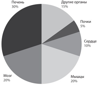 Атомы у нас дома. Удивительная наука за повседневными вещами