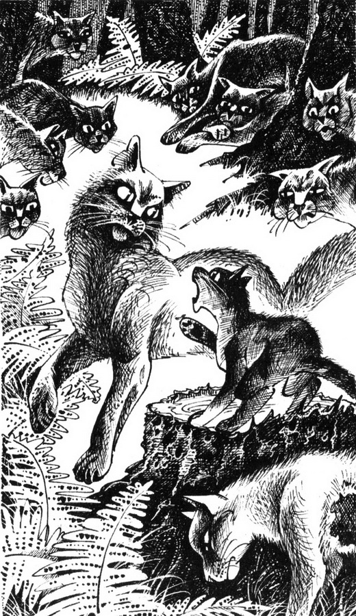 Юность Грома Юность Грома