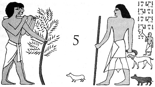 Цари-жрецы Цари-жрецы