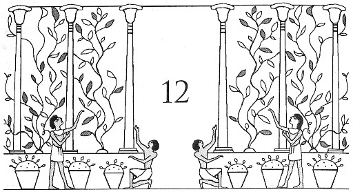 Цари-жрецы Цари-жрецы