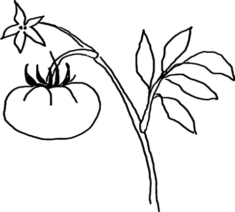 Теория везения. Практическое пособие по повышению вашей удачливости