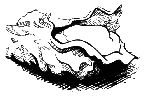 Гении без штанов Гении без штанов