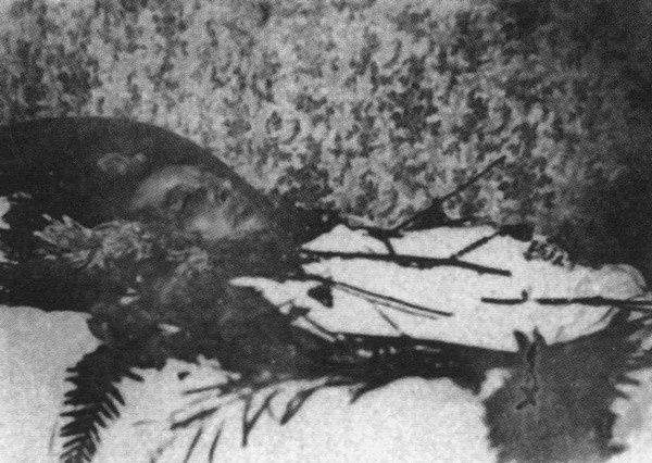 Оскар Уайльд