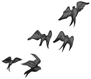 Быть сильной 365 дней в году