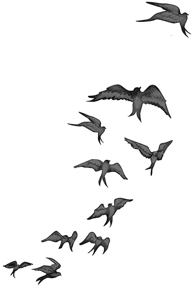 Быть сильной 365 дней в году Быть сильной 365 дней в году