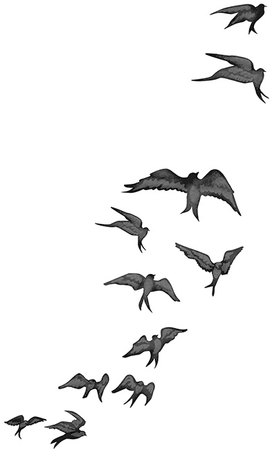 Быть сильной 365 дней в году Быть сильной 365 дней в году