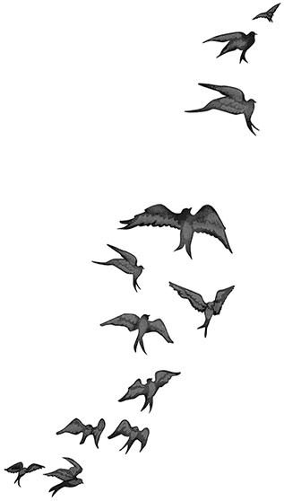 Быть сильной 365 дней в году Быть сильной 365 дней в году