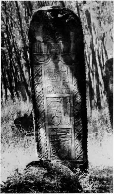 Шейх Мансур Шейх Мансур