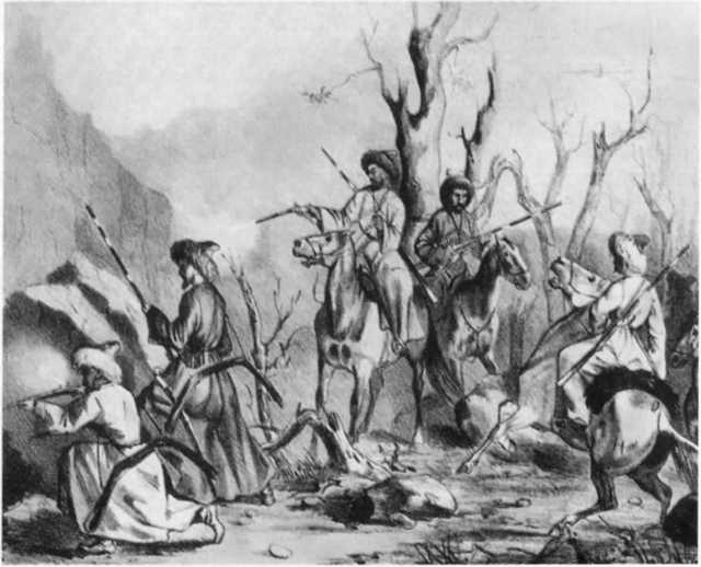 Шейх Мансур Шейх Мансур