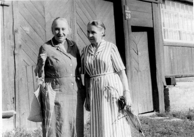 "Посмотрим, кто кого переупрямит...". Надежда Яковлевна Мандельштам в письмах, воспоминаниях, свидетельствах "Посмотрим, кто кого переупрямит...". Надежда Яковлевна Мандельштам в письмах, воспоминаниях, свидетельствах