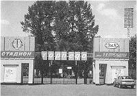 Стрельцов. Человек без локтей Стрельцов. Человек без локтей