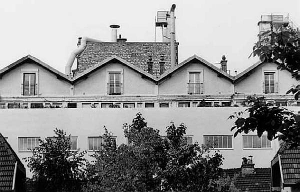 Здесь шумят чужие города, или Великий эксперимент негативной селекции Здесь шумят чужие города, или Великий эксперимент негативной селекции