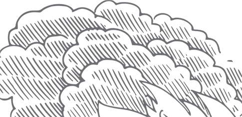 Кухня. Записки повара