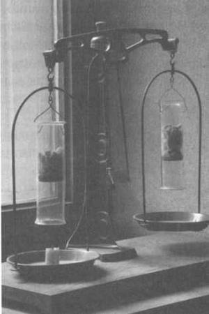 Журнал "Наука. Величайшие теории" №29