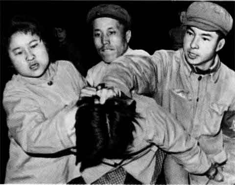 Мао Цзэдун Мао Цзэдун