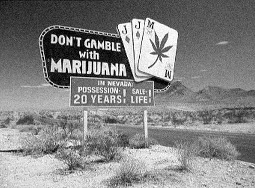 Режиссеры настоящего. В 2 томах. Том 1. Визионеры и мегаломаны Режиссеры настоящего. В 2 томах. Том 1. Визионеры и мегаломаны