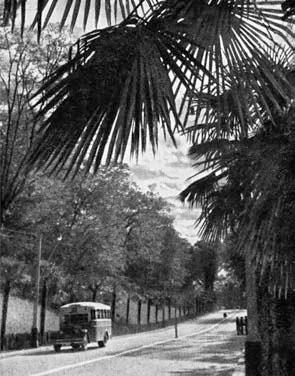 Я пытаюсь восстановить черты Я пытаюсь восстановить черты