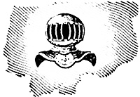 Над самой клеткой льва