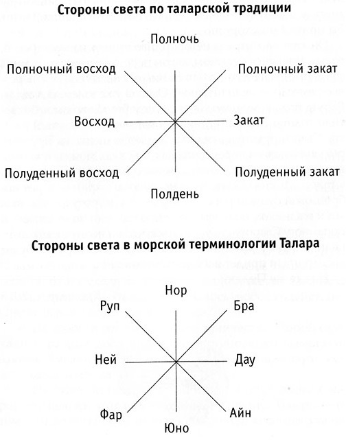 Над самой клеткой льва