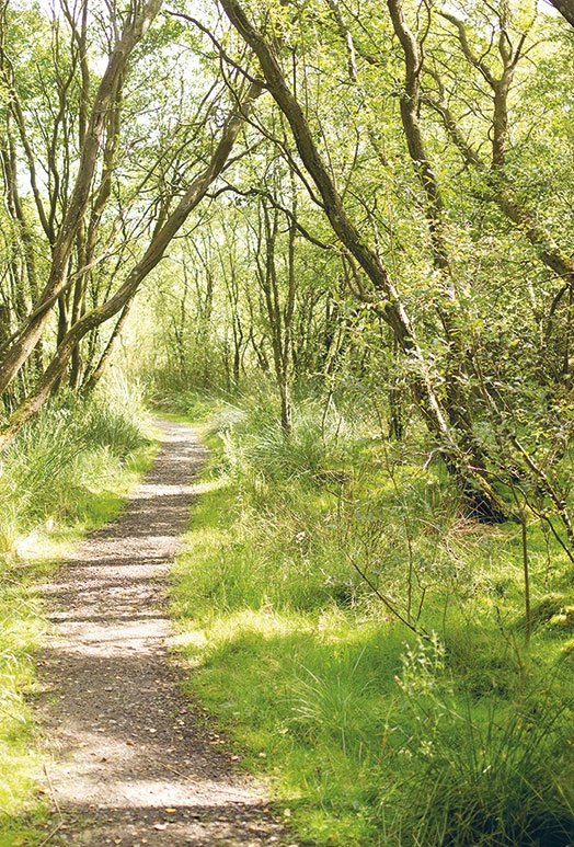 Лагом. Шведские секреты счастливой жизни