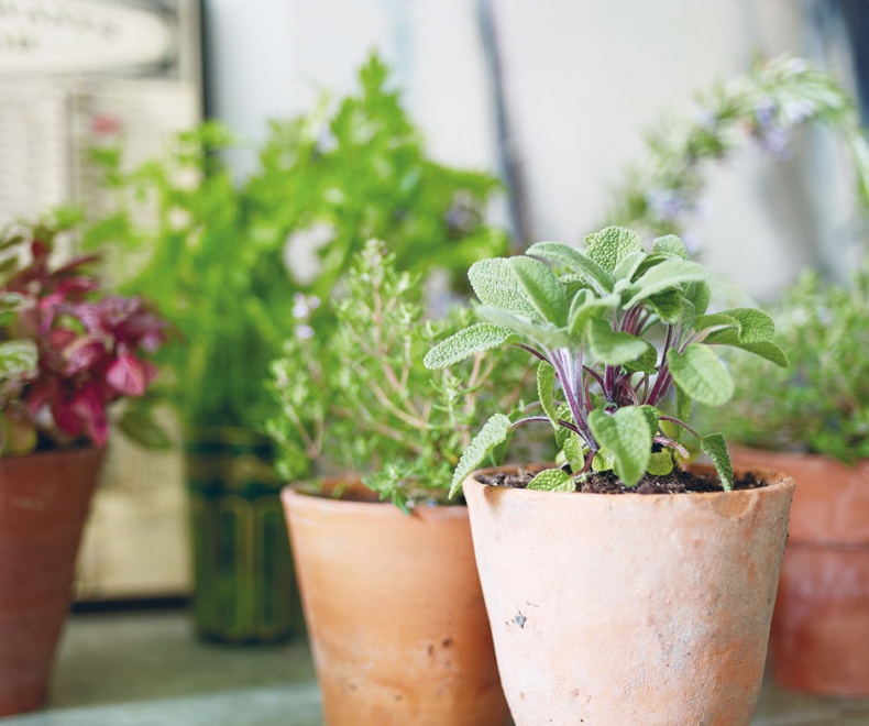 Лагом. Шведские секреты счастливой жизни