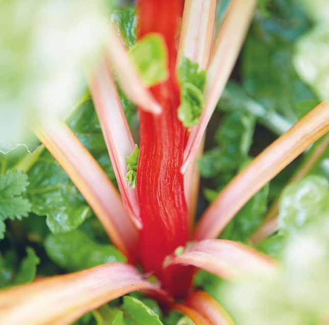 Лагом. Шведские секреты счастливой жизни Лагом. Шведские секреты счастливой жизни