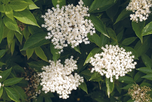 Лагом. Шведские секреты счастливой жизни Лагом. Шведские секреты счастливой жизни