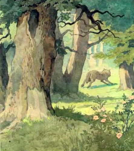 Красная Шапочка Красная Шапочка