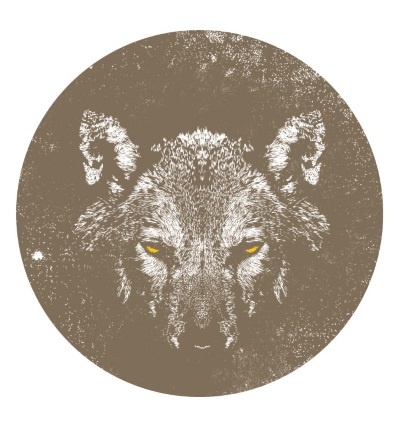 Волк. Размышления о главном