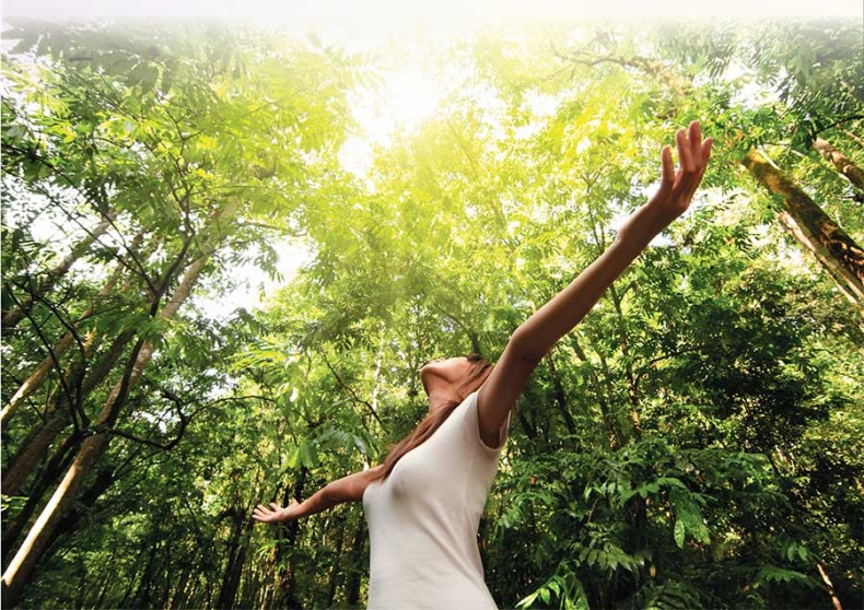 Йога-анатомия. Как работают асаны для здоровья и стройности тела