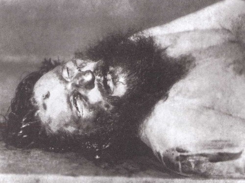 Василий Шульгин. Судьба русского националиста