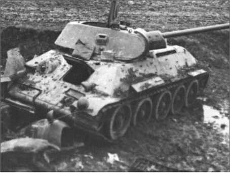 "Тигры" в снегу. Мемуары танкового аса "Тигры" в снегу. Мемуары танкового аса