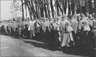 "Тигры" в снегу. Мемуары танкового аса "Тигры" в снегу. Мемуары танкового аса