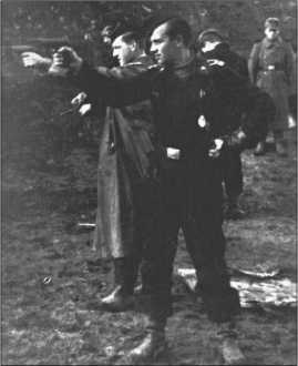 "Тигры" в снегу. Мемуары танкового аса "Тигры" в снегу. Мемуары танкового аса