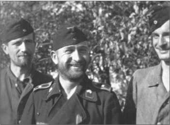 "Тигры" в снегу. Мемуары танкового аса "Тигры" в снегу. Мемуары танкового аса