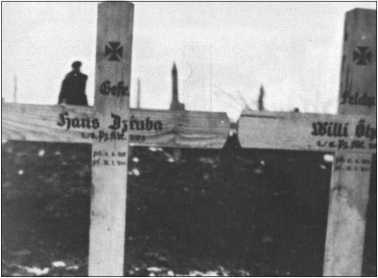 "Тигры" в снегу. Мемуары танкового аса "Тигры" в снегу. Мемуары танкового аса