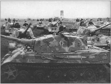 "Тигры" в снегу. Мемуары танкового аса "Тигры" в снегу. Мемуары танкового аса