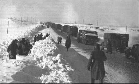 "Тигры" в снегу. Мемуары танкового аса "Тигры" в снегу. Мемуары танкового аса