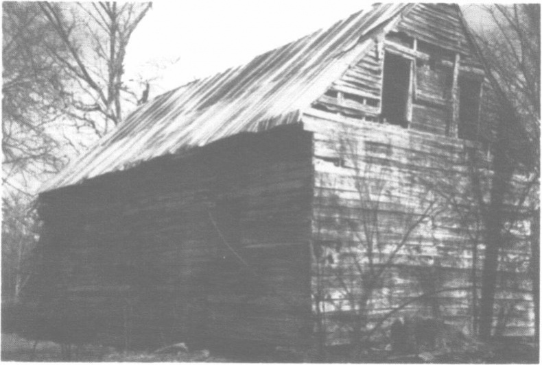 Бессмертная жизнь Генриетты Лакс Бессмертная жизнь Генриетты Лакс