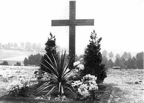 Врангель Врангель