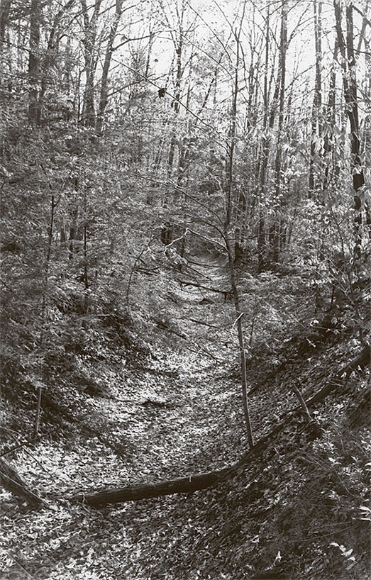 Я пасу облака Я пасу облака