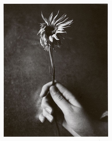 Я пасу облака Я пасу облака