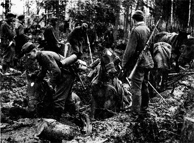 Трагедия на Неве. Шокирующая правда о блокаде Ленинграда. 1941-1944