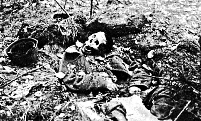 Трагедия на Неве. Шокирующая правда о блокаде Ленинграда. 1941-1944