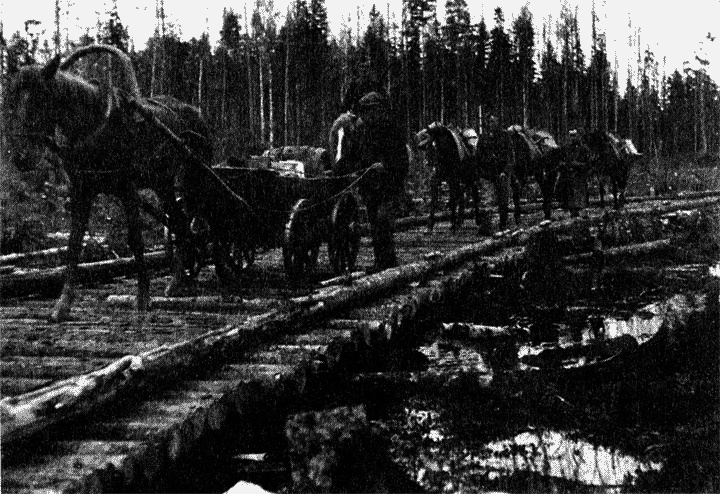 Трагедия на Неве. Шокирующая правда о блокаде Ленинграда. 1941-1944