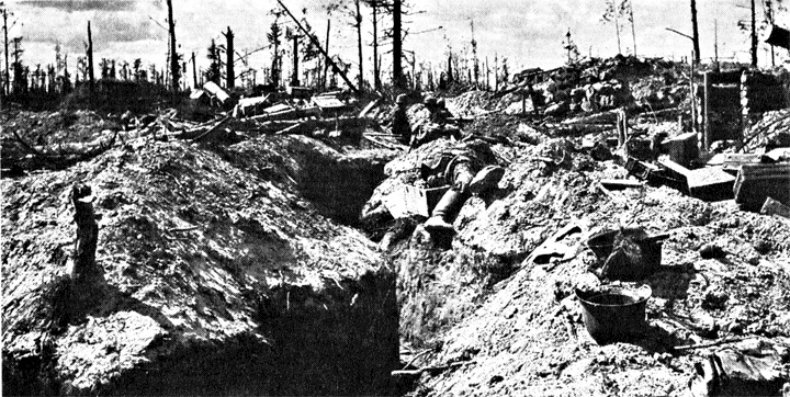 Трагедия на Неве. Шокирующая правда о блокаде Ленинграда. 1941-1944