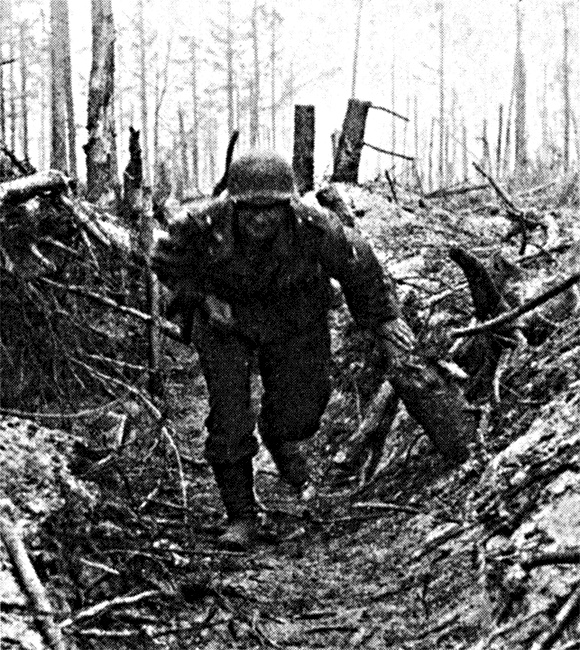 Трагедия на Неве. Шокирующая правда о блокаде Ленинграда. 1941-1944