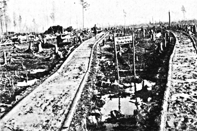 Трагедия на Неве. Шокирующая правда о блокаде Ленинграда. 1941-1944