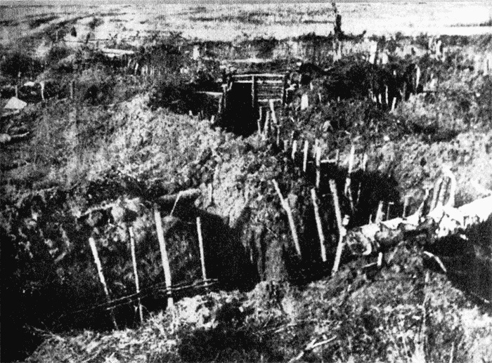 Трагедия на Неве. Шокирующая правда о блокаде Ленинграда. 1941-1944