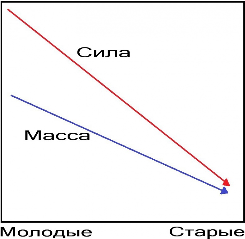 Теломераза. Как сохранить молодость, укрепить здоровье и увеличить продолжительность жизни